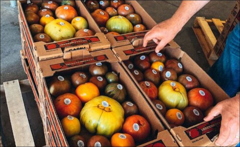 Photo of hands picking produce from a box.